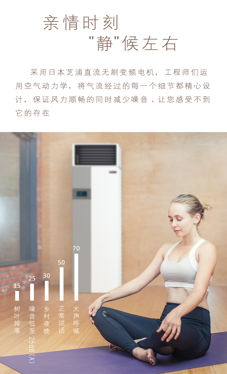 易能韋爾柜式新風系統WIT-D500
